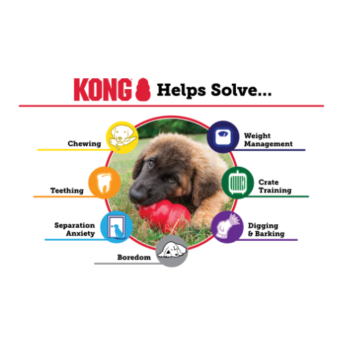 Roue des solutions