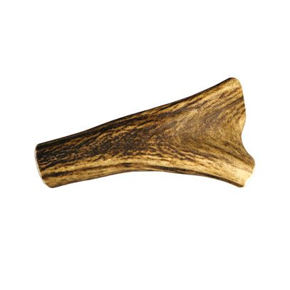 bois cerfs